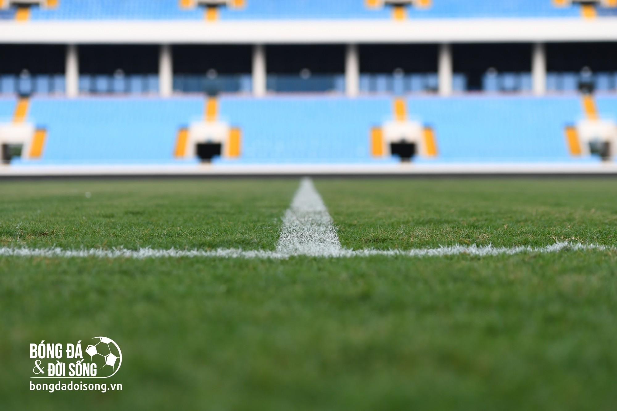 Cận cảnh mặt cỏ "mượt mà" của sân Mỹ Đình, sẵn sàng đón tiếp ĐT Philippines